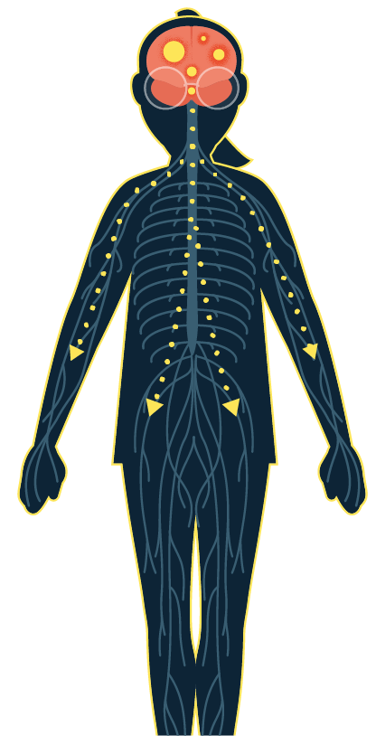 toxic stress affecting entire body