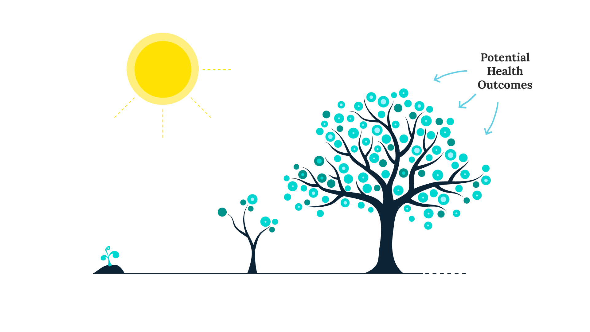 A line of trees from seedling to sapling.  Arrows pointing to the mature tree's leaves indicating potential health outcomes
