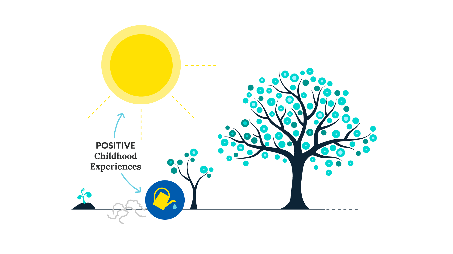 A line of trees from seedling to sapling.  A watering can is watering the sapling, indicating positive childhood experiences