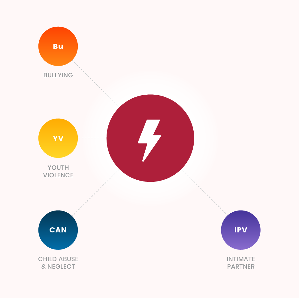 Risk Factor - Societal income inequity associated with bullying, intimate partner violence, child abuse and neglect, and youth violence.