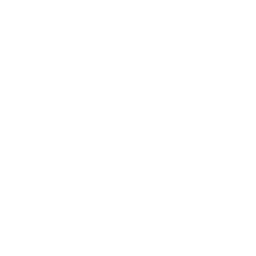 Person giving presentation