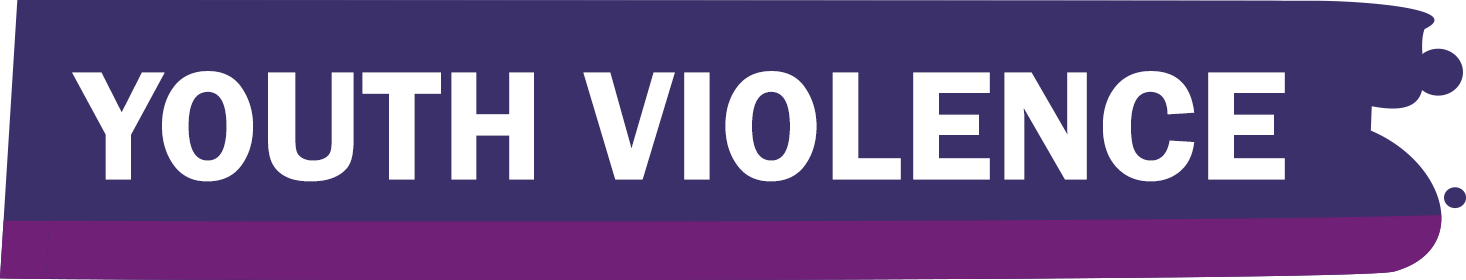 YOUTH VIOLENCE