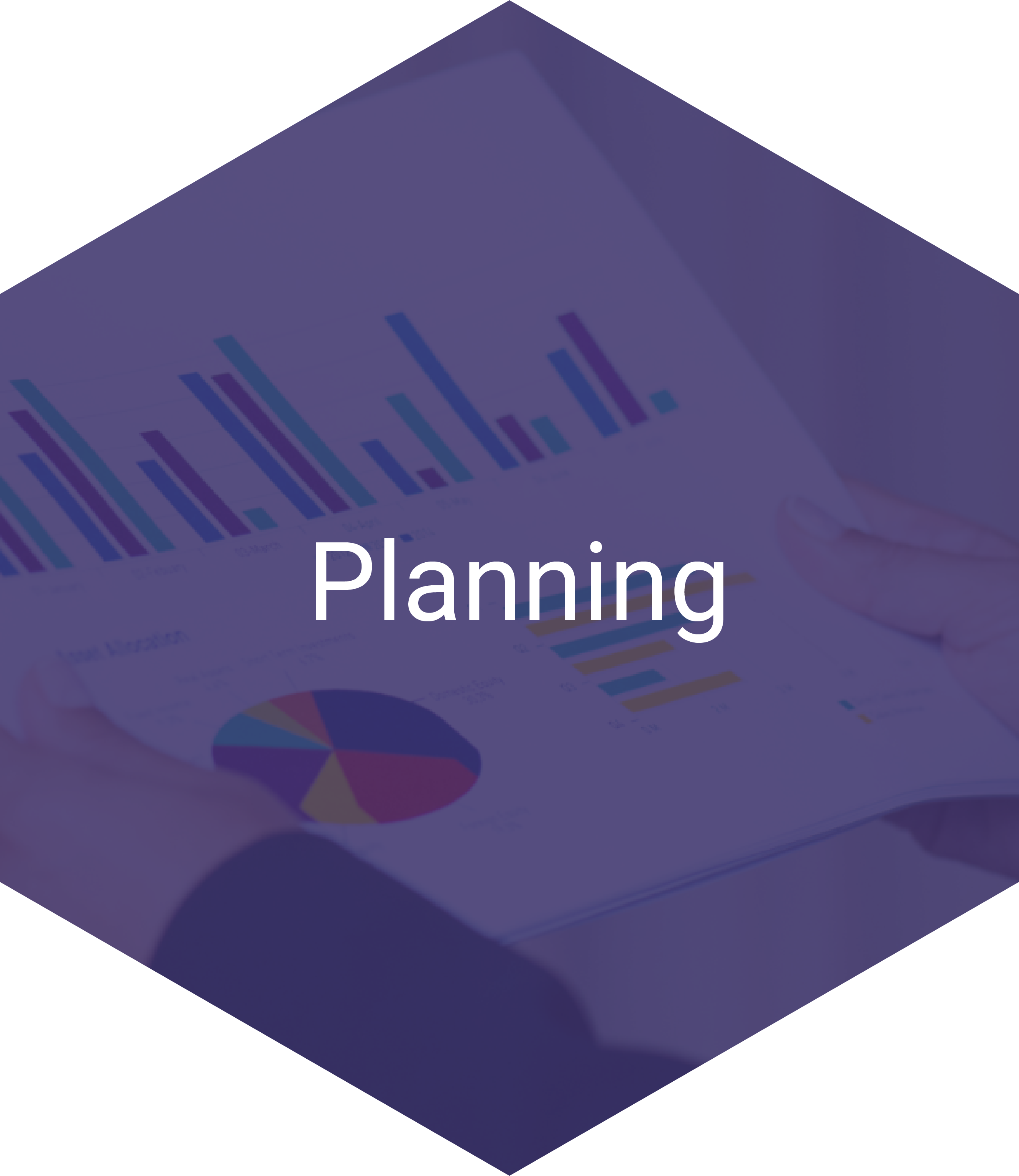 Planning Hexagon Navigation Item