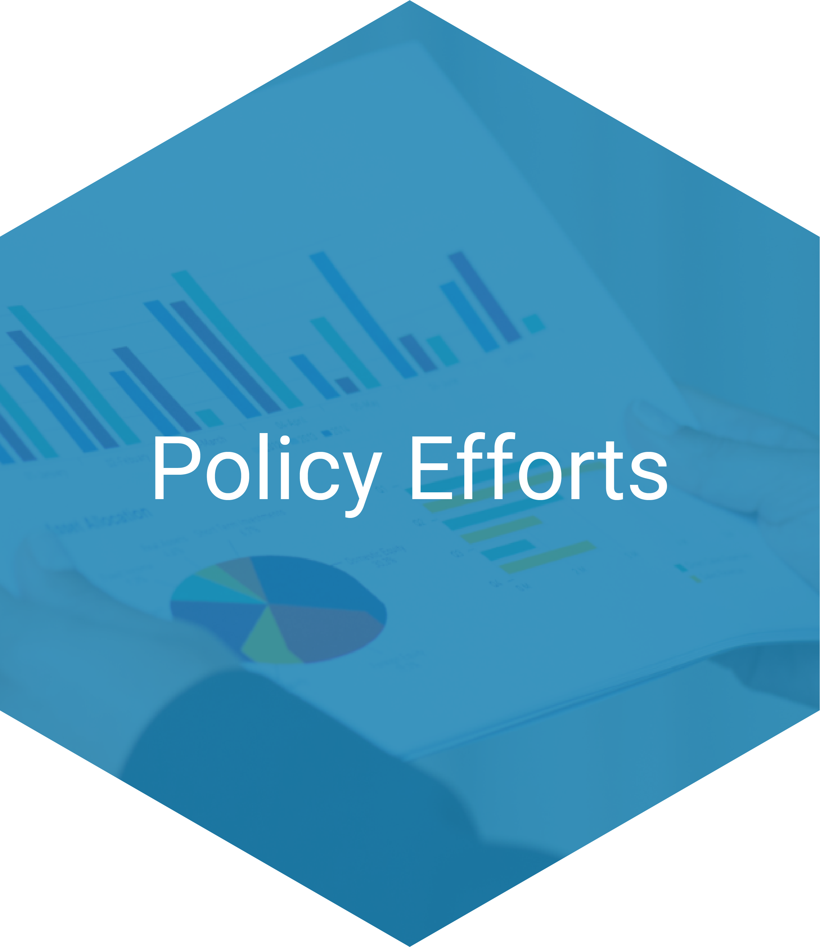 Policy Efforts Hexagon Navigation Item