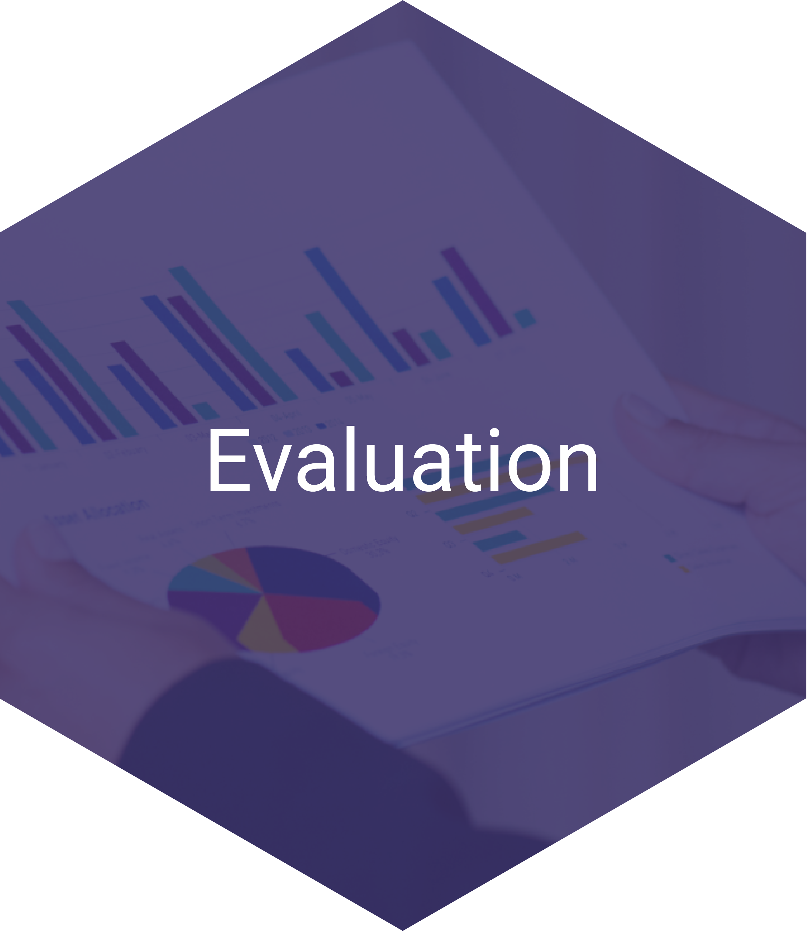 Evaluation Hexagon Navigation Item